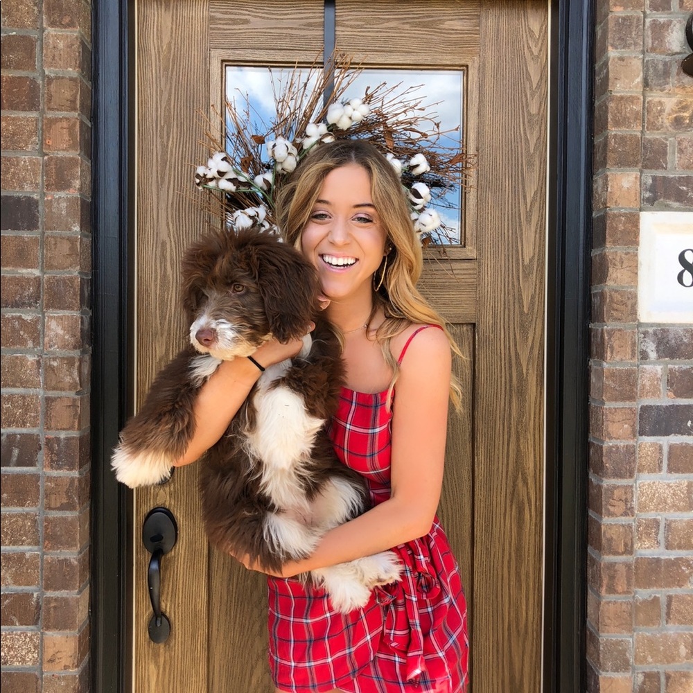 Cotton Candy Red Plaid Tie Waist Mini Dress - Picture 6 of 8